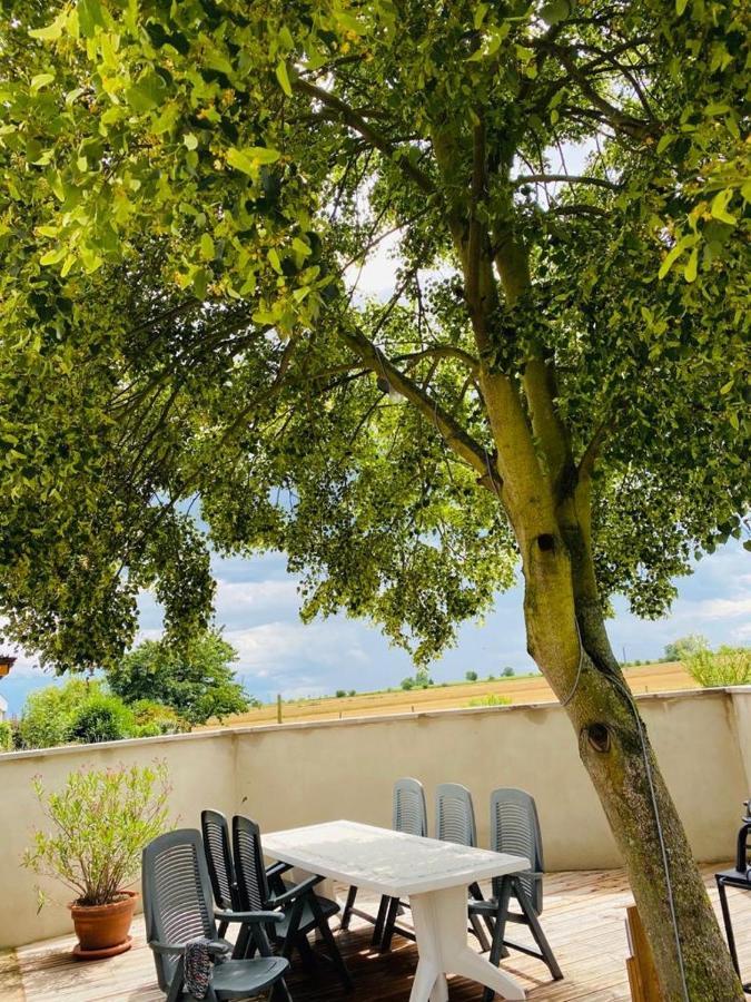 Gite Spa La Grange Kintzheim Εξωτερικό φωτογραφία
