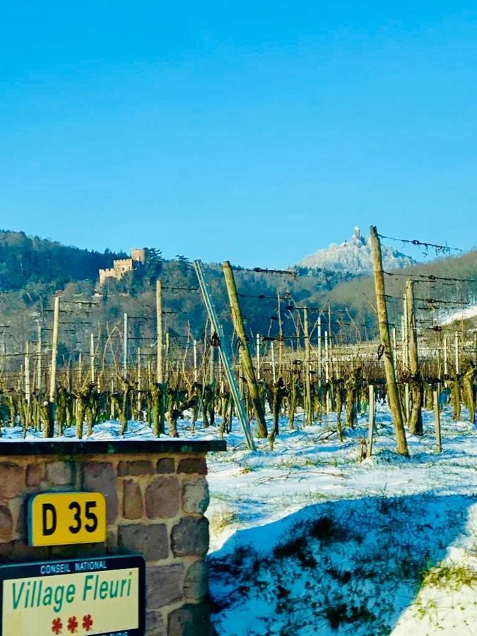 Gite Spa La Grange Kintzheim Εξωτερικό φωτογραφία