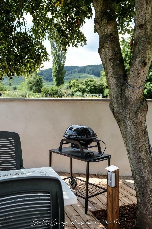 Gite Spa La Grange Kintzheim Εξωτερικό φωτογραφία